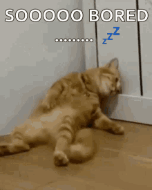 1000000621.gif