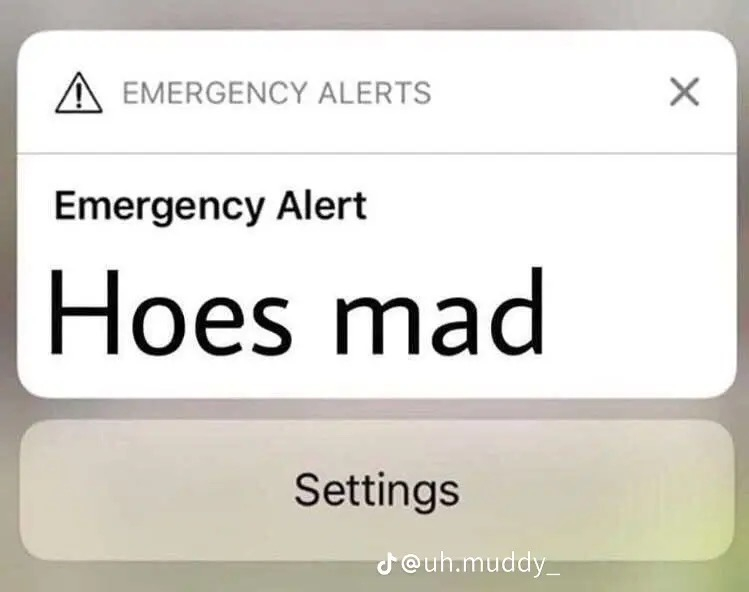 1000008871.jpg
