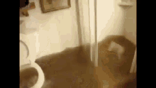1000011504.gif