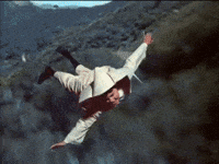 1000015519.gif