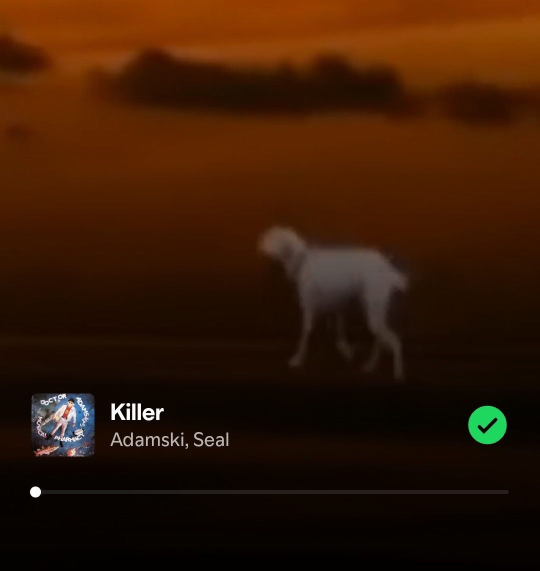 1000017501.jpg