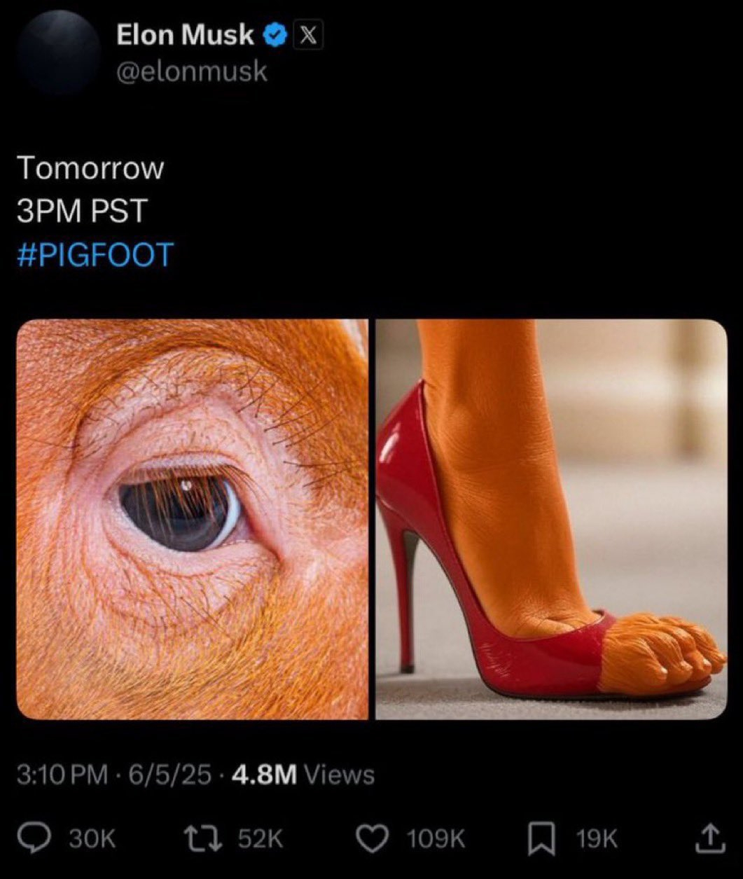 1000024781.jpg