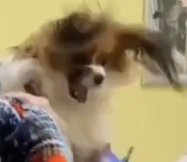 1000057716.png