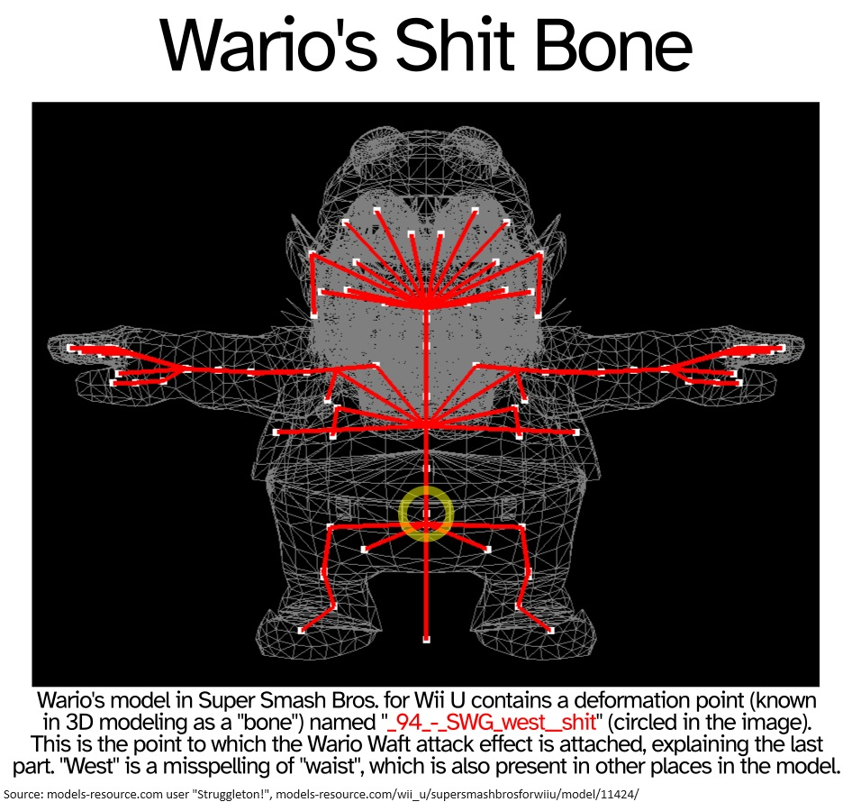 1000063684.jpg