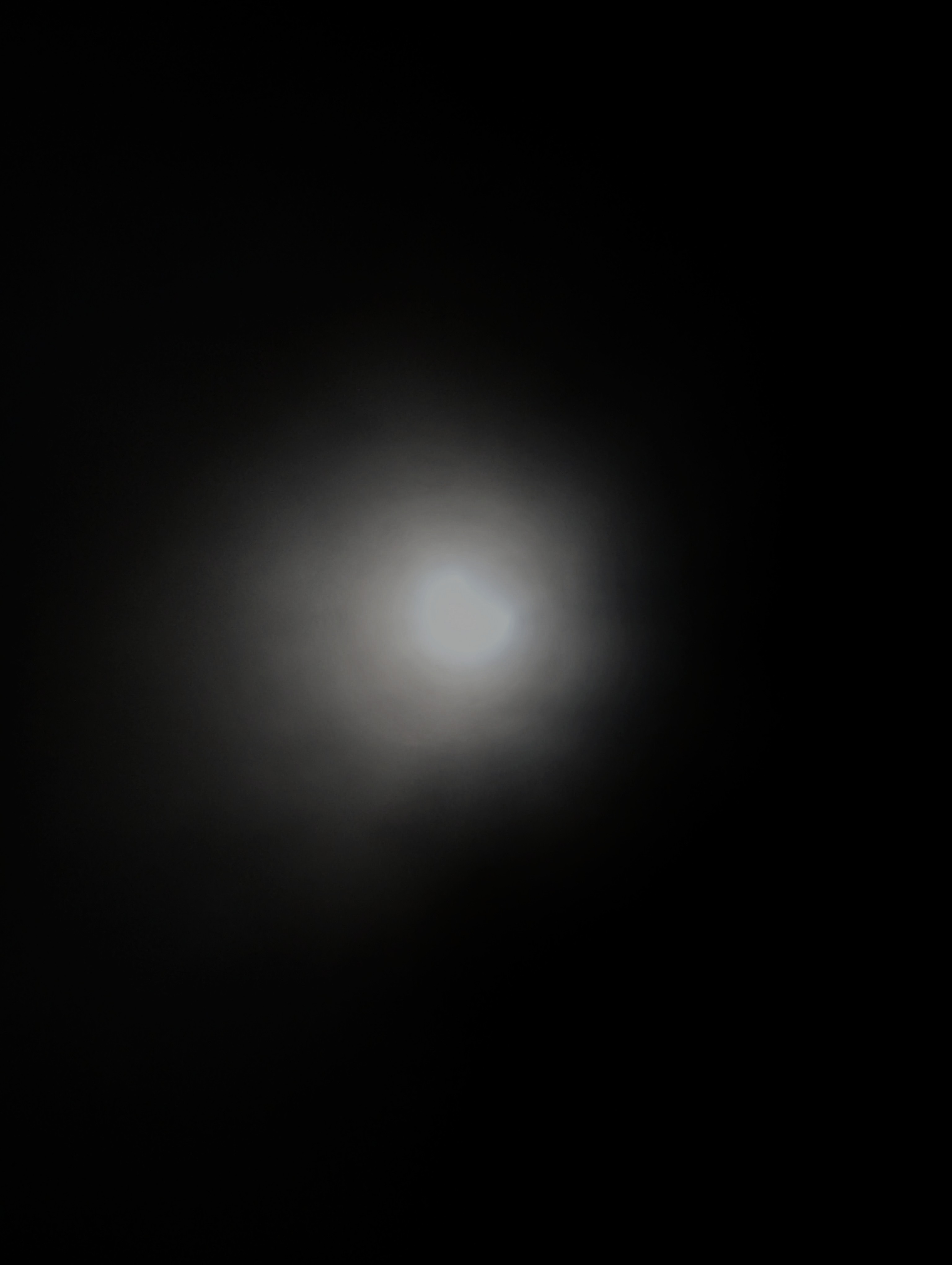 1000072425.jpg