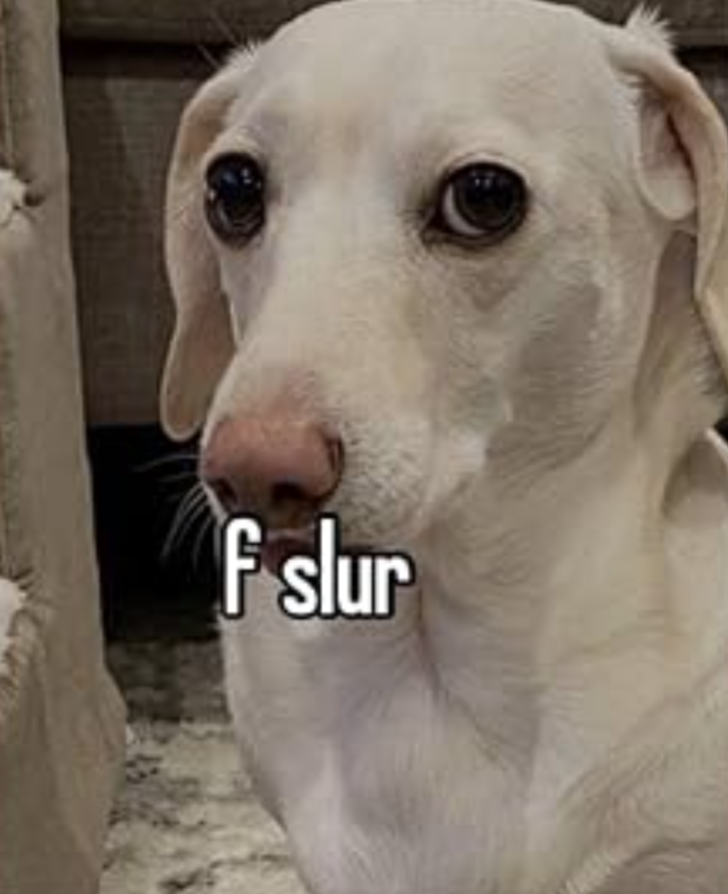 1000080204.png