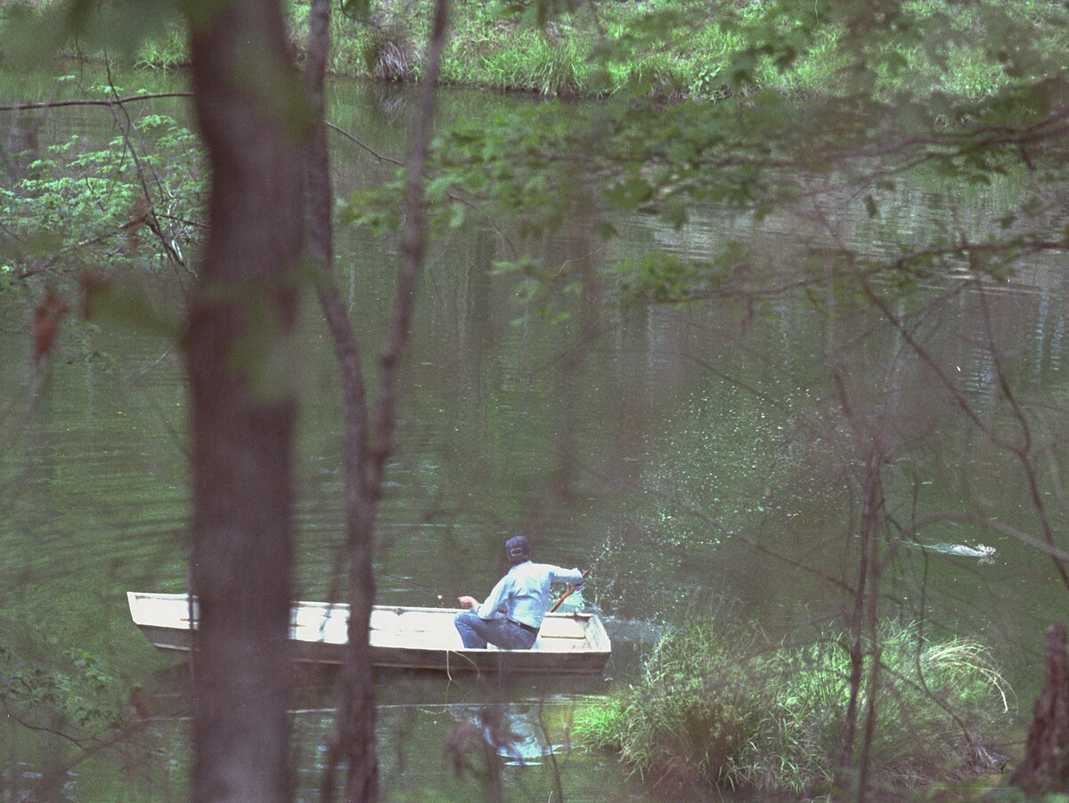 1200px-Jimmy_Carter_in_boat_chasing_away_swimming_rabbit,_Plains,_Georgia_-_19790420.jpg