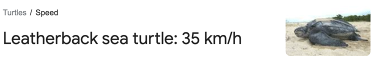 1619792263892.png
