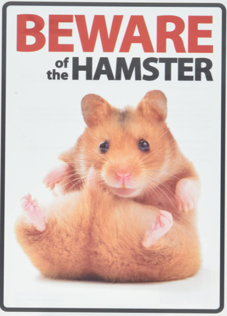 1625500124725.png