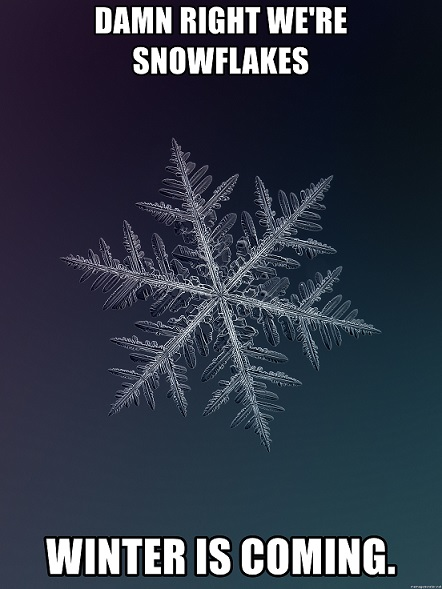 1638908106337.png
