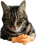 1650295989656.png