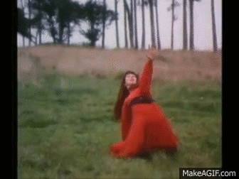 1654462864420.gif