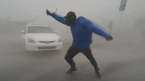 1681338240011.gif