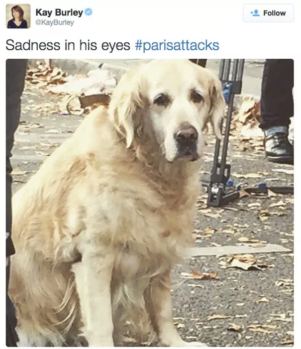 1697828336822.png