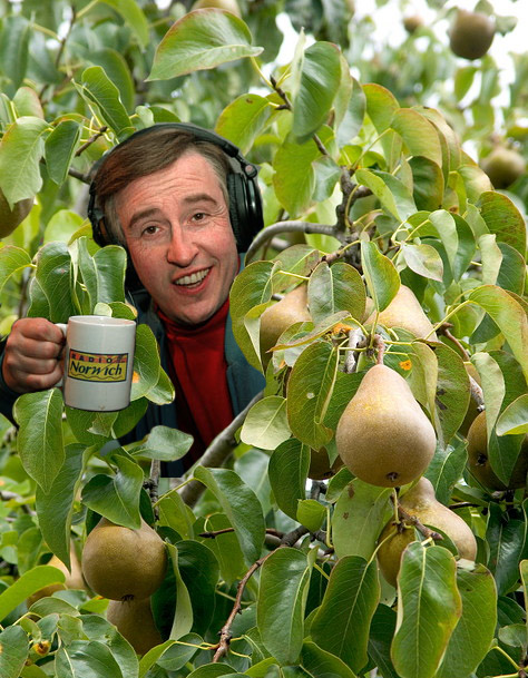 1702995345871.png
