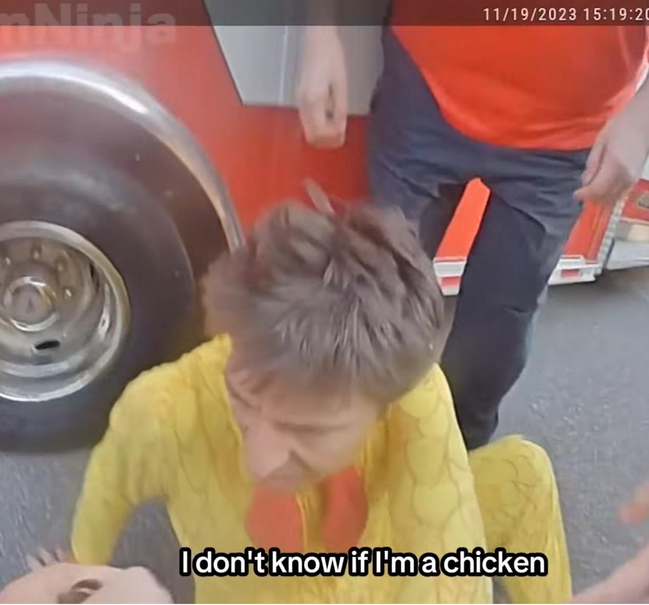 1764169520154.png
