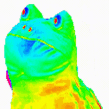 1774886545019.gif