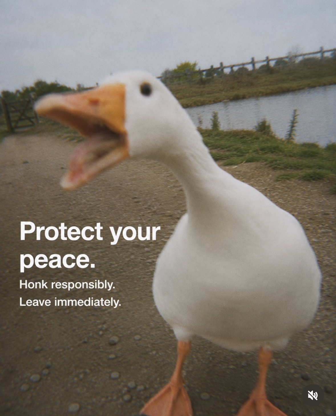 1781190831521.png