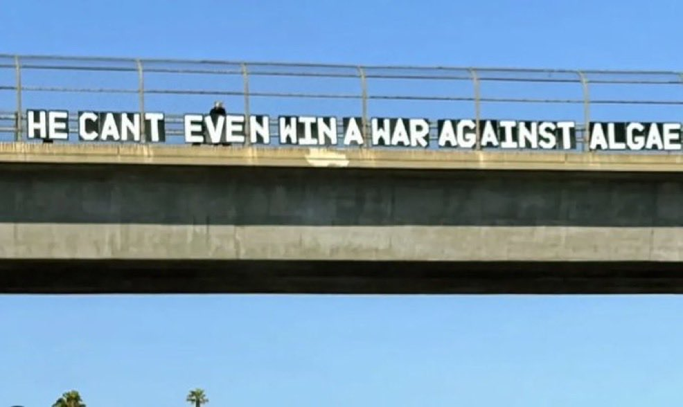 1782151393896.png