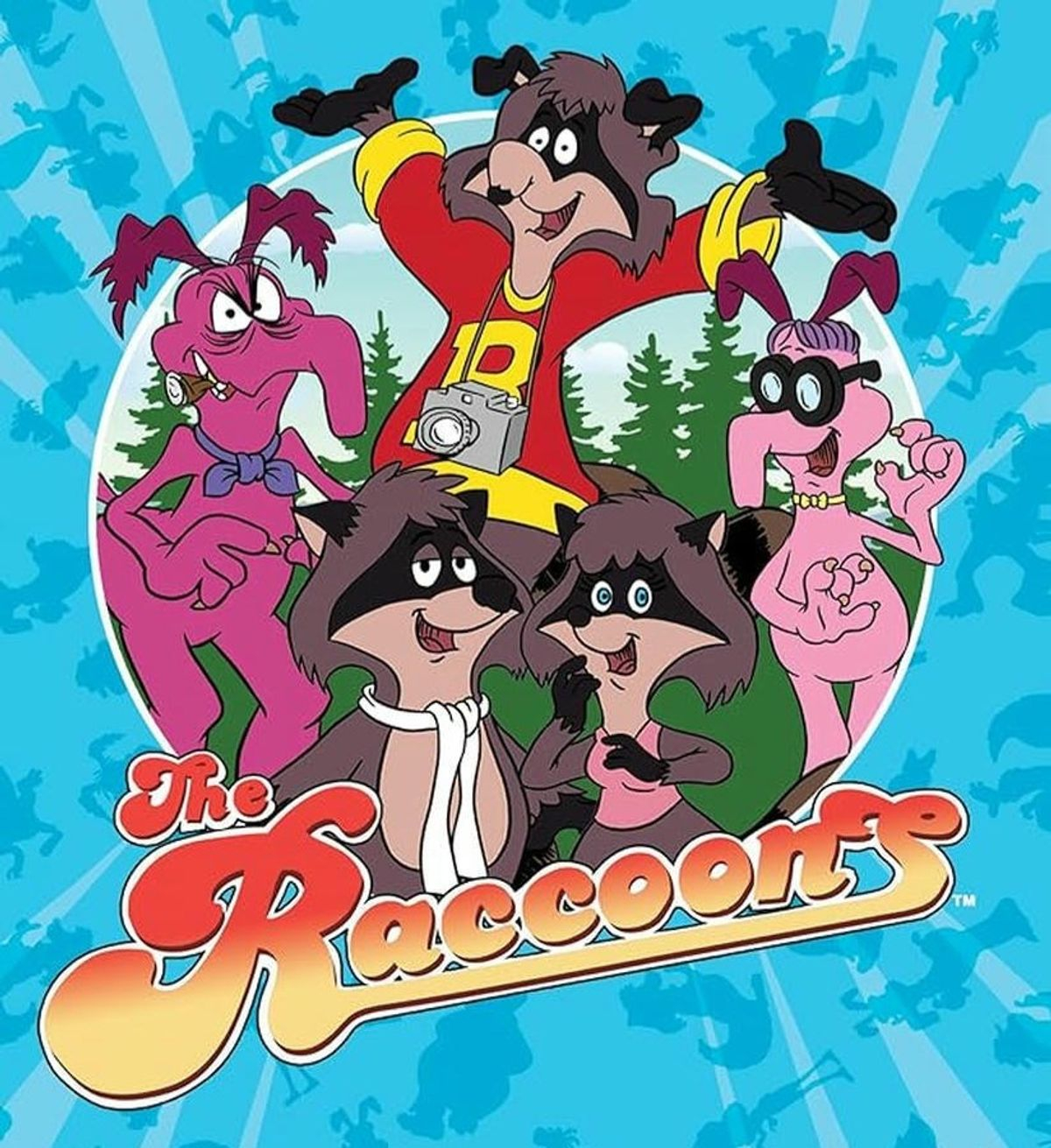The Raccoons