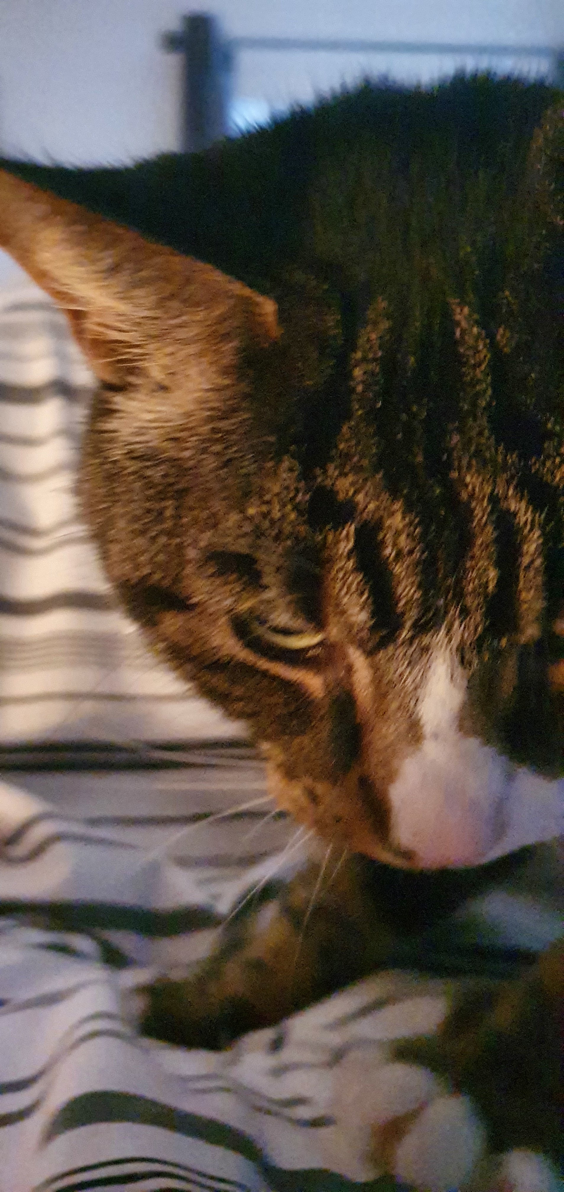 20210401_193006.jpg