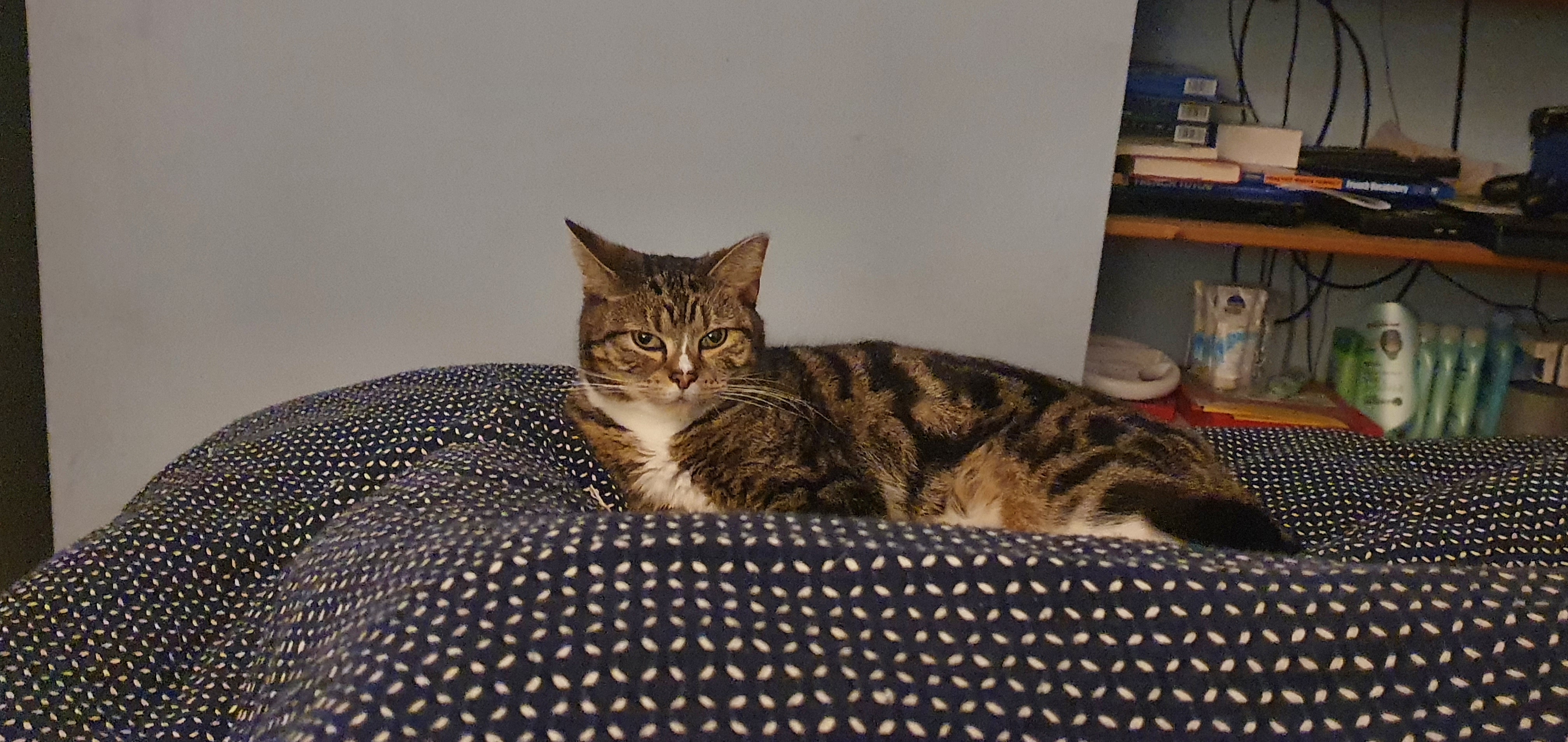 20220403_210514.jpg