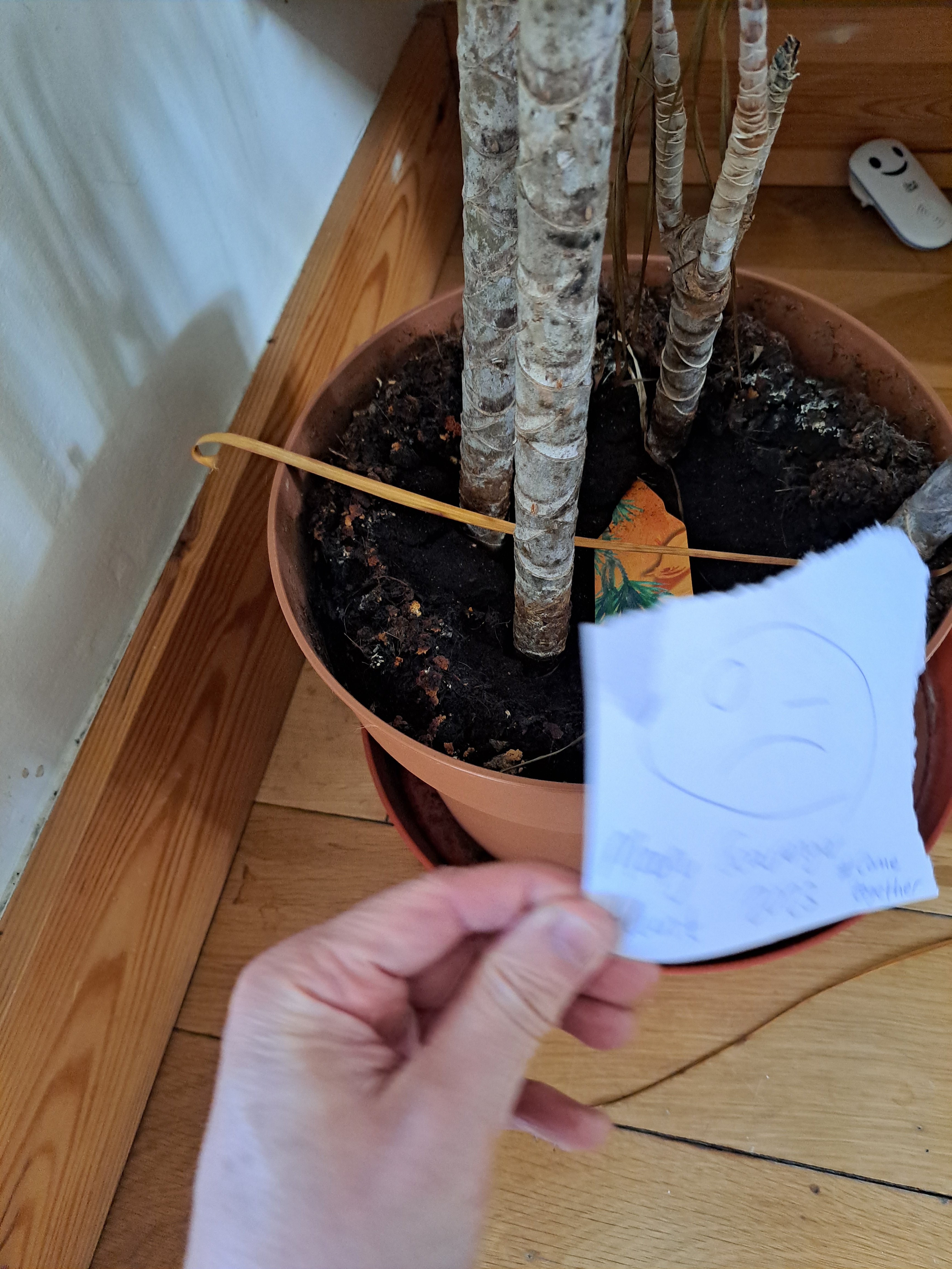 20230413_114406.jpg