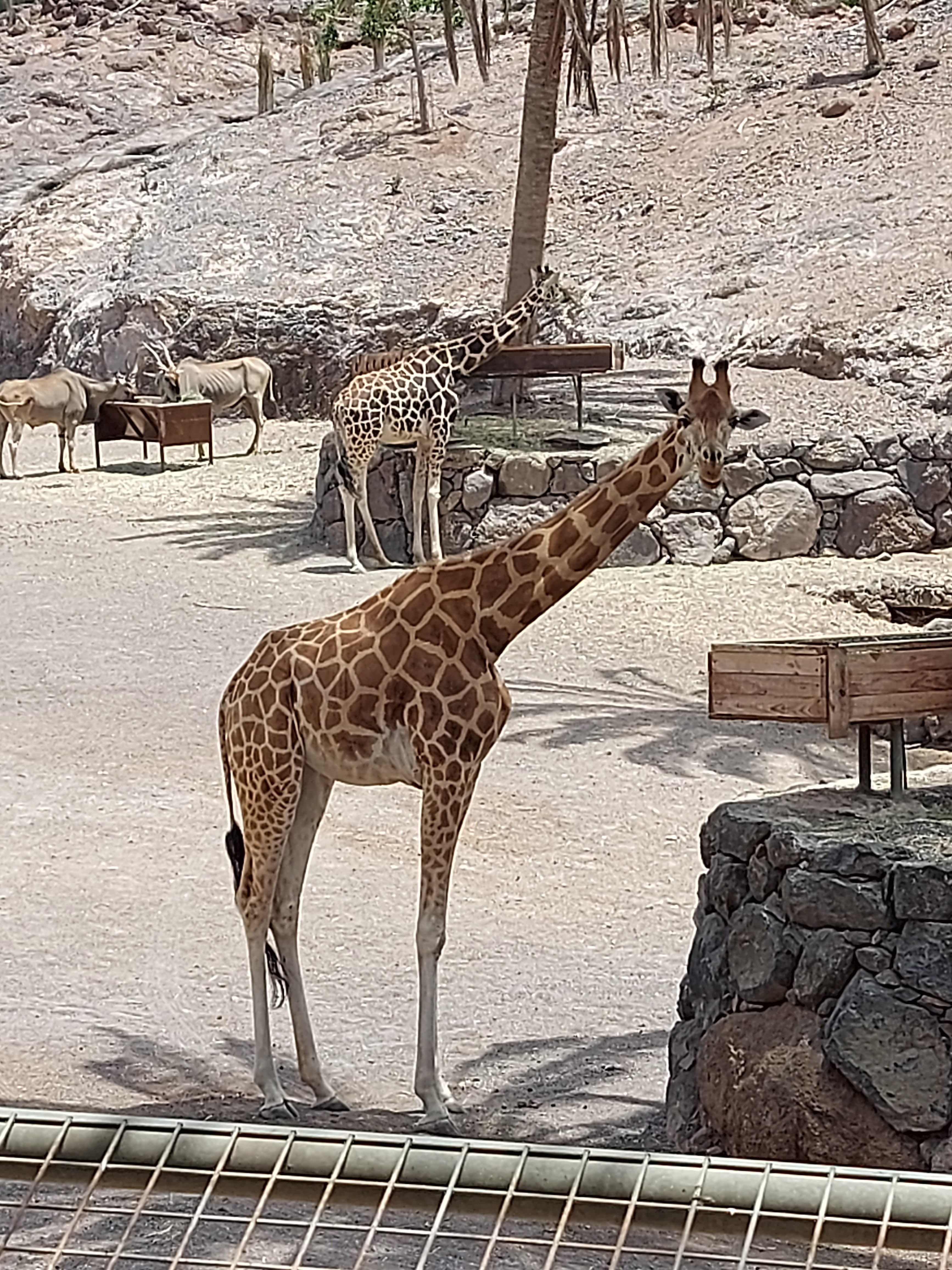 20230521_130457.jpg