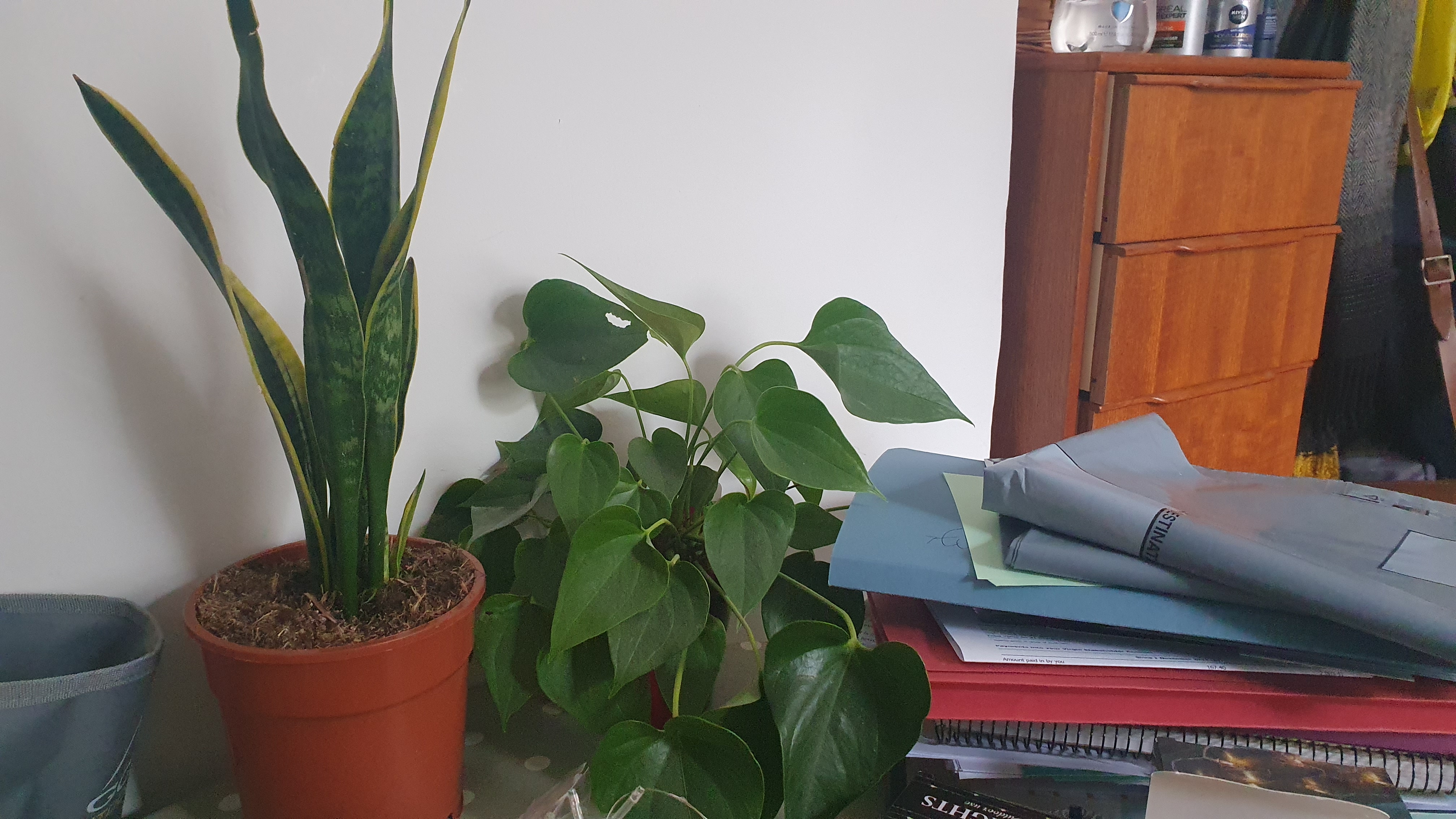 20230812_140004.jpg