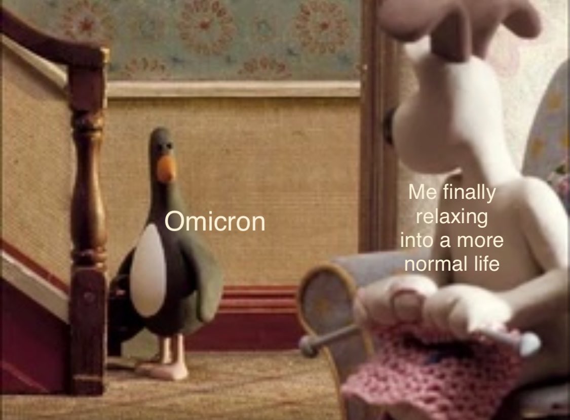21CC2336-0FA7-411C-8C06-D3F85D8A7E2E.jpeg