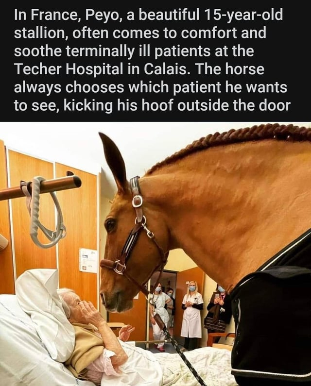 23376.jpg