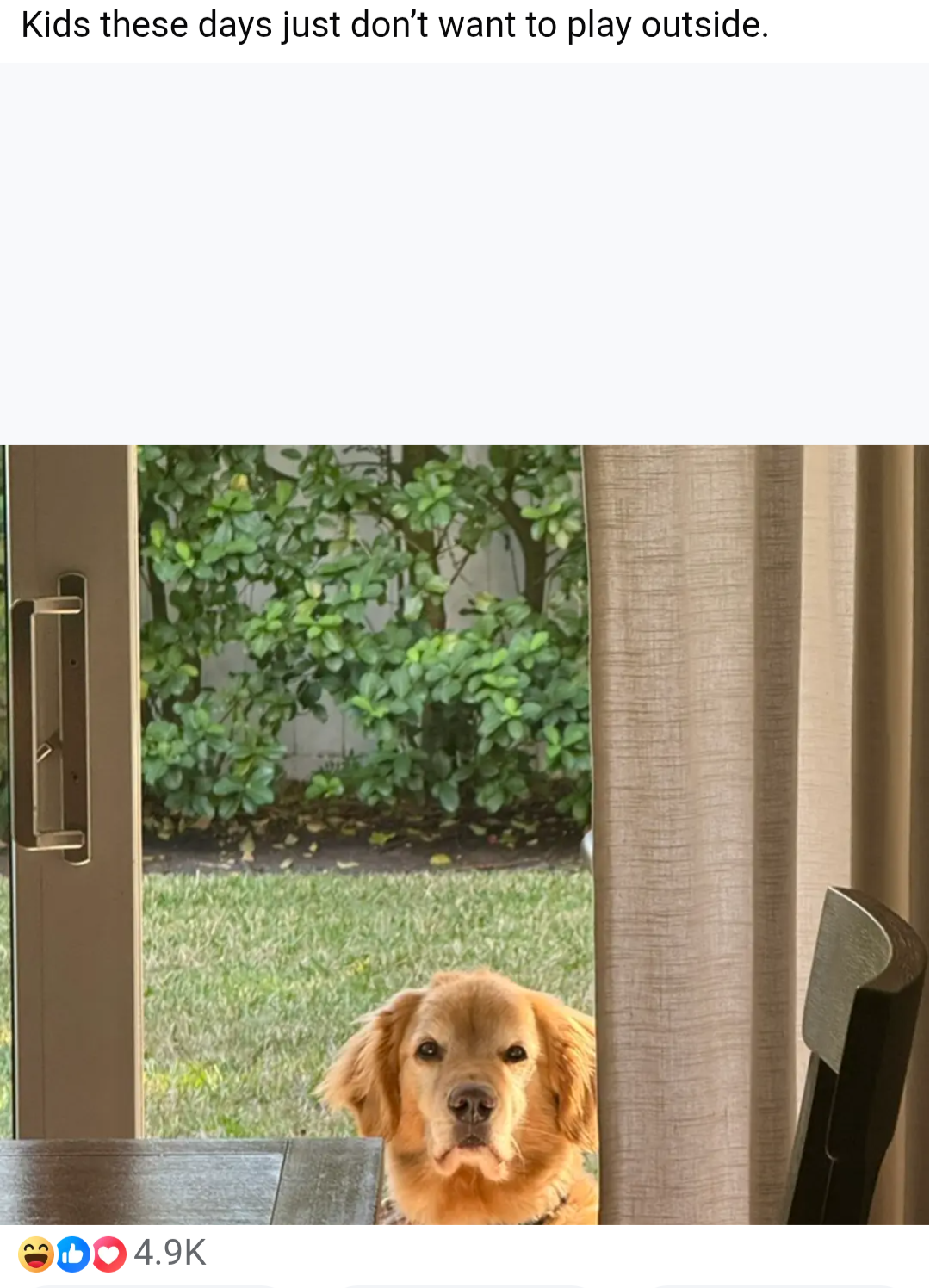 32708.png