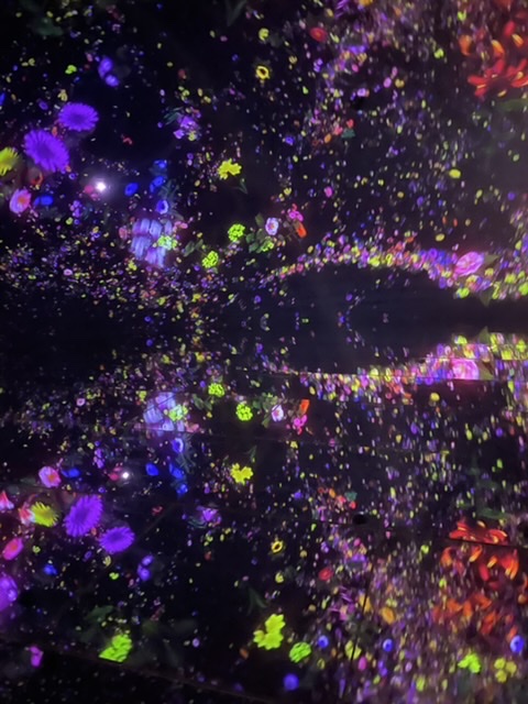 A75C5B28-A175-44B6-ABE5-3B7E7618AC82.jpeg
