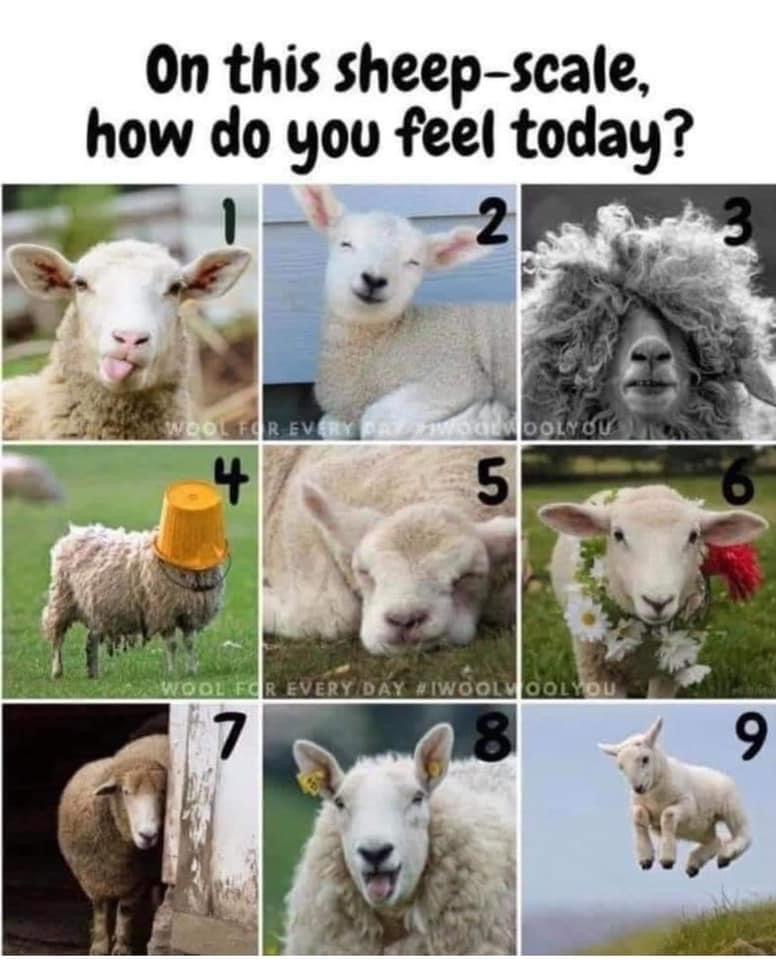AC9A8E71-AF8D-4770-A1F0-F9B307CF67BB.jpeg