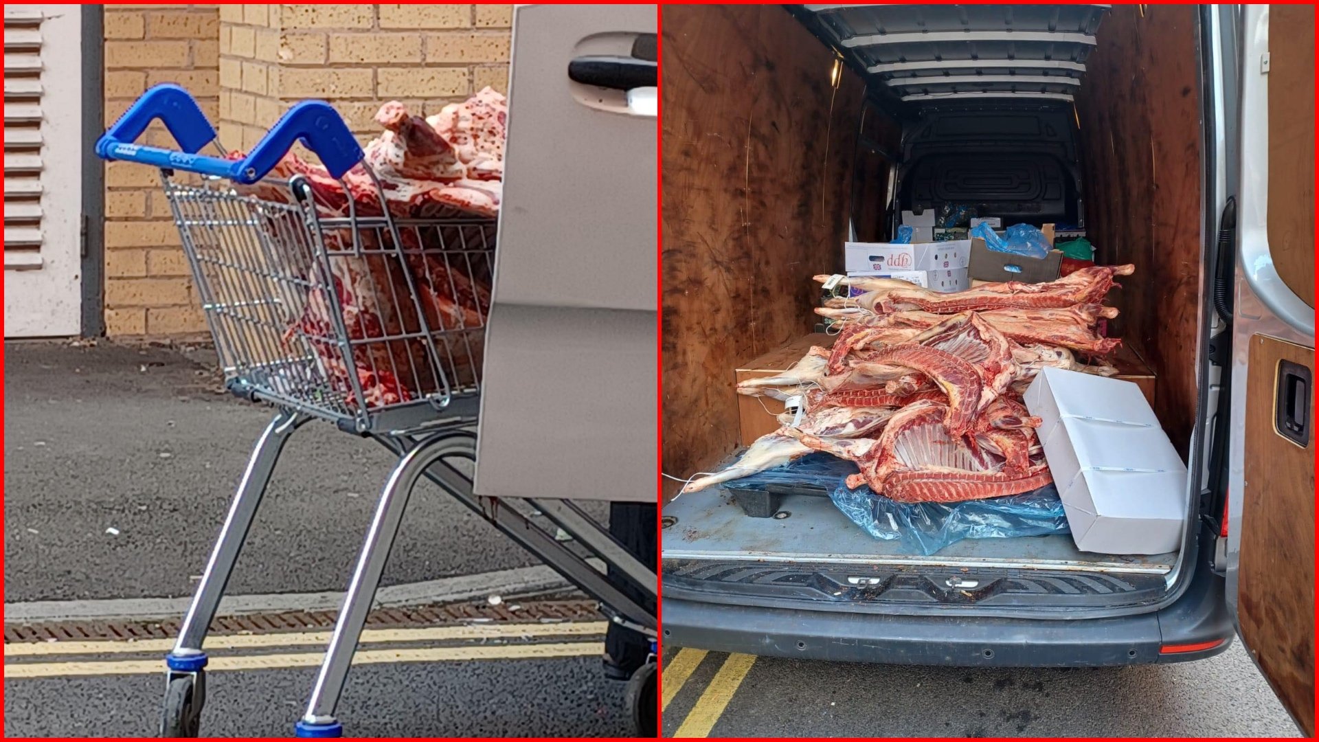 asia-supermarket-meat.jpg