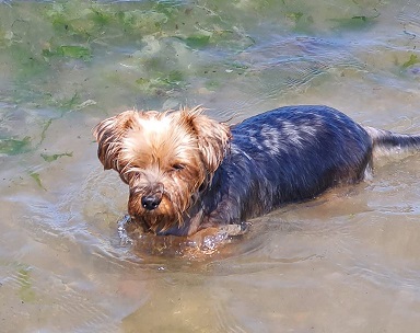 Axl Beach.jpg