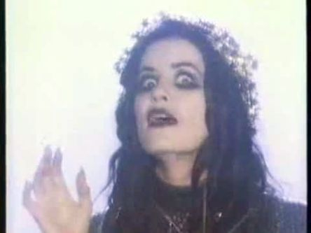 b9.jpg