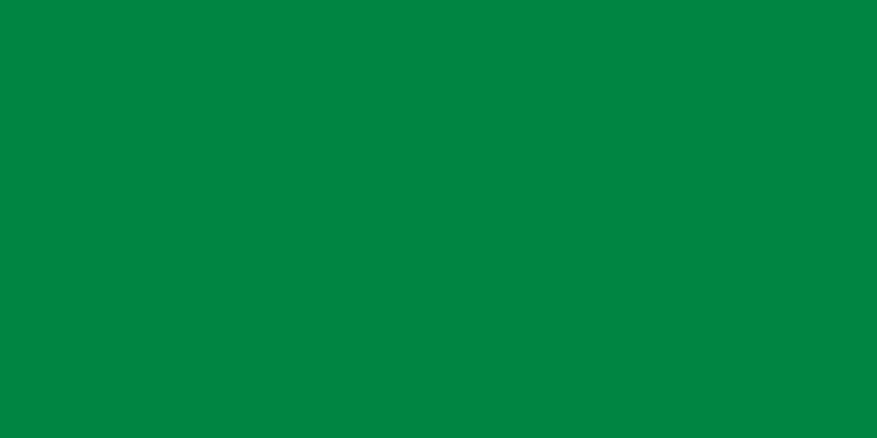 Basic Flag.png
