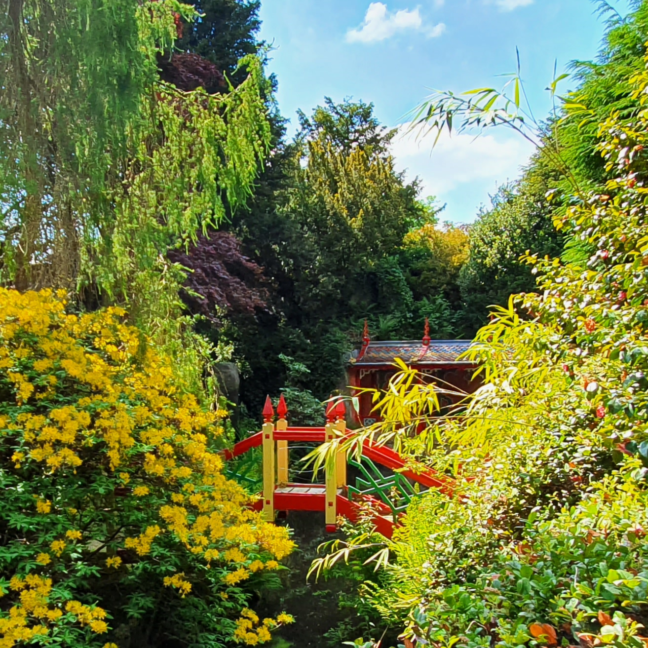 Bridge at Biddulph Grange Garden.png