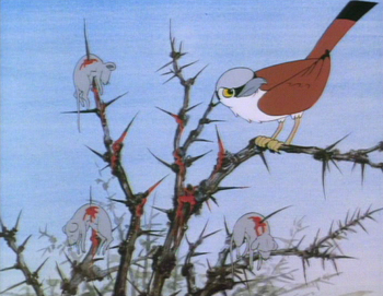 butcherbird.png