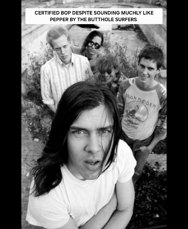 ButtholeSurfers-1 (1).jpg