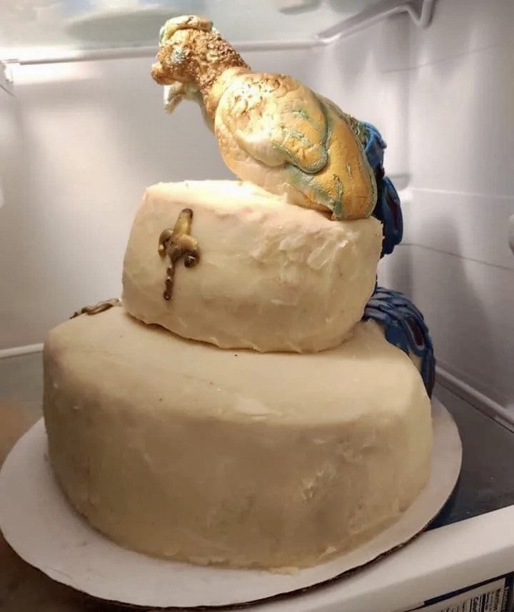 cakey.jpeg