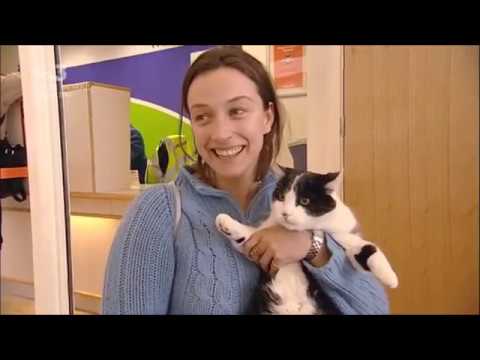 Cat Smuggler.jpg