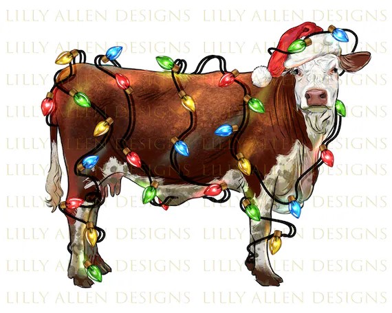 Christmas Cow.jpg