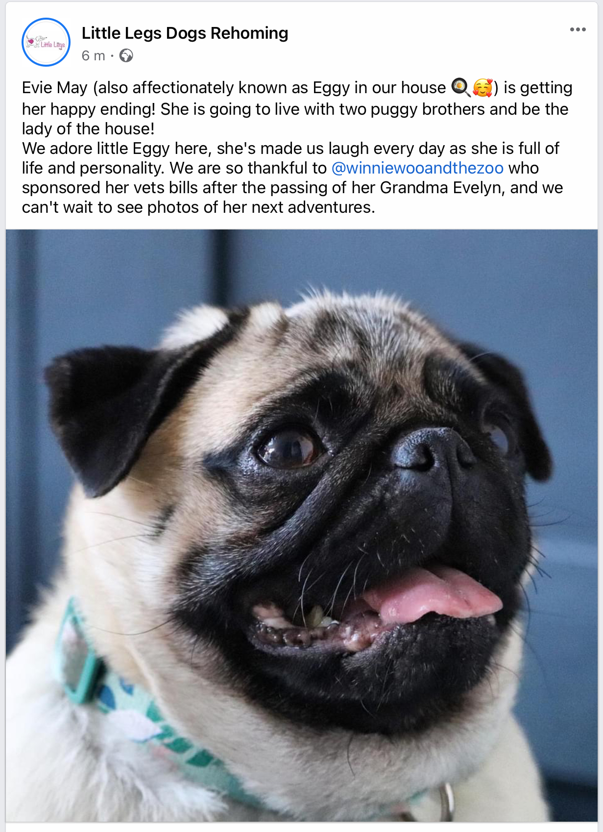 D023E276-6454-4CBF-83ED-B814C1AECCB0.jpeg
