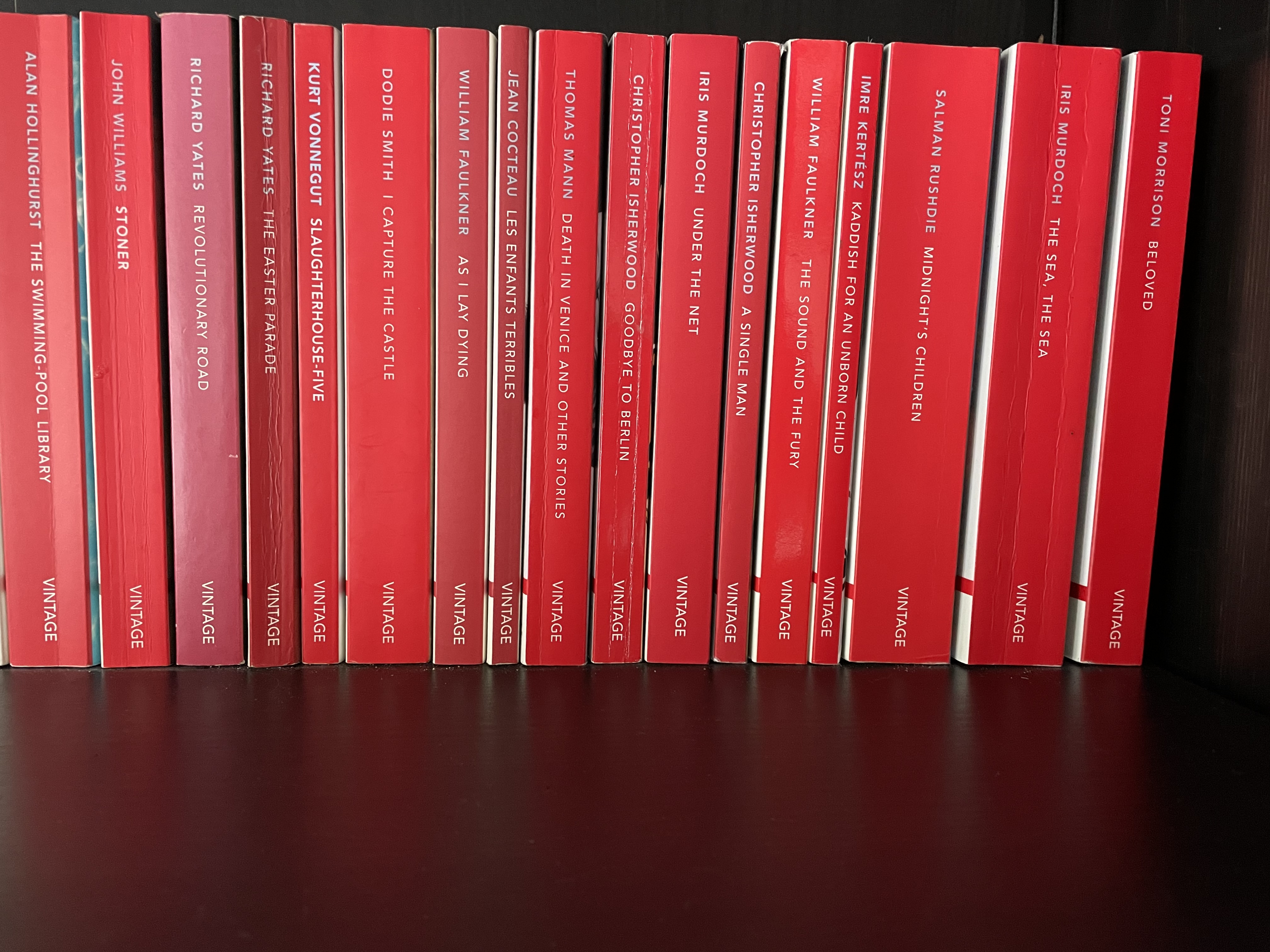 D0616B8A-82DA-4B33-9455-9C1B96CAA038.jpeg