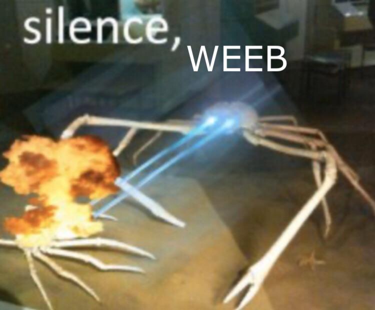 d8uuabkzx8o61.jpg