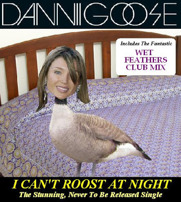 DANNIIGOOSE.jpg