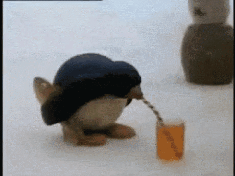 DECC3428-F67F-4BA8-B6C9-E9ED0656A555.gif