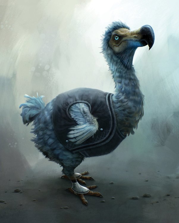 Dodo.jpg